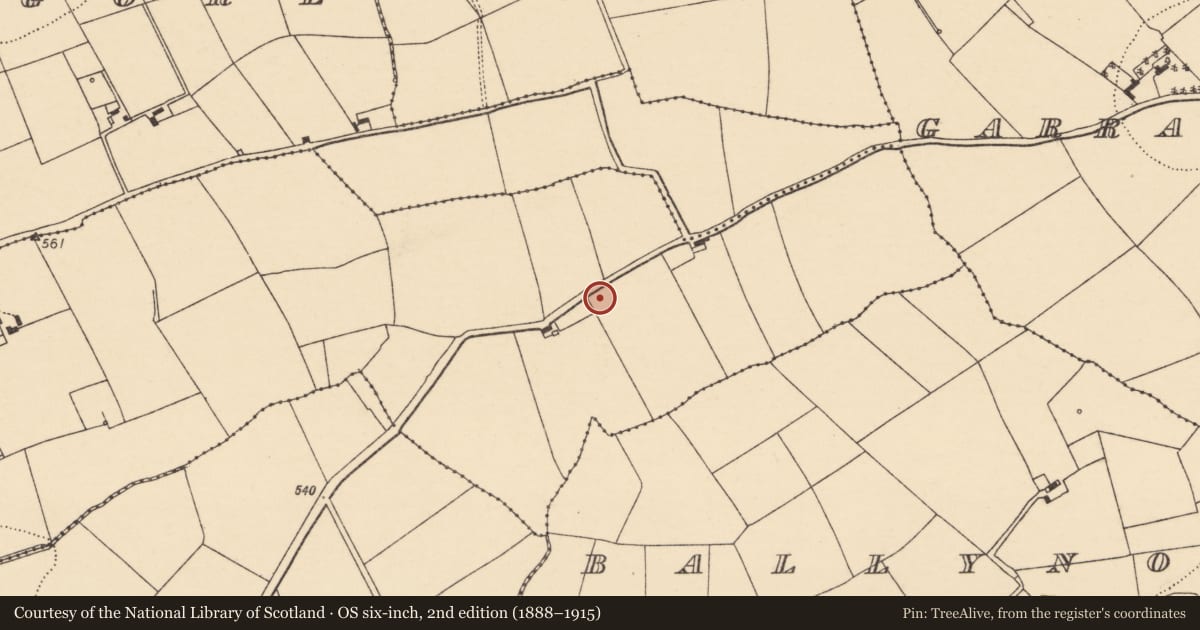 Ordnance Survey six-inch map, 2nd edition (1888–1915) covering the location of Pit, Clonrobin, County Cork, with a pin at the register's coordinates