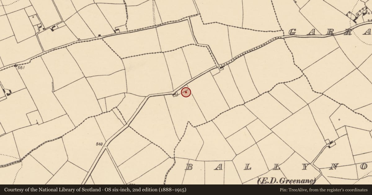 Ordnance Survey six-inch map, 2nd edition (1888–1915) covering the location of Cultivation ridges, Clonrobin, County Cork, with a pin at the register's coordinates