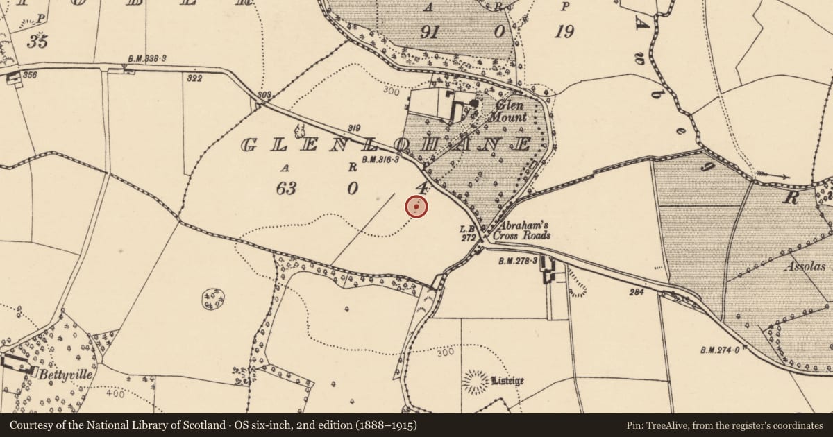 Ordnance Survey six-inch map, 2nd edition (1888–1915) covering the location of Enclosure, Glenlohane, County Cork, with a pin at the register's coordinates