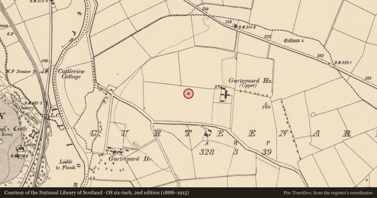 Ordnance Survey six-inch map, 2nd edition (1888–1915) covering the location of Enclosure, Gurteenard, County Cork, with a pin at the register's coordinates