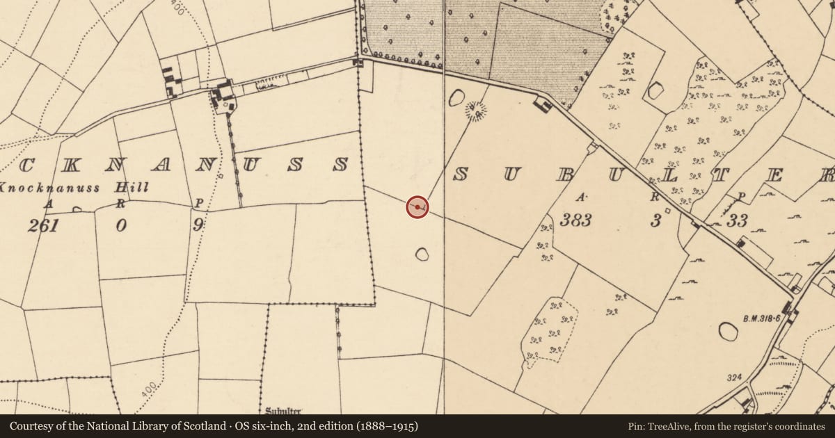 Ordnance Survey six-inch map, 2nd edition (1888–1915) covering the location of Enclosure, Subulter, County Cork, with a pin at the register's coordinates