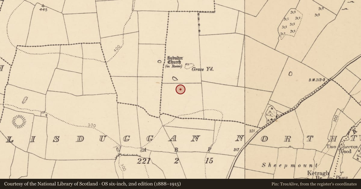 Ordnance Survey six-inch map, 2nd edition (1888–1915) covering the location of Enclosure, Subulter, County Cork, with a pin at the register's coordinates