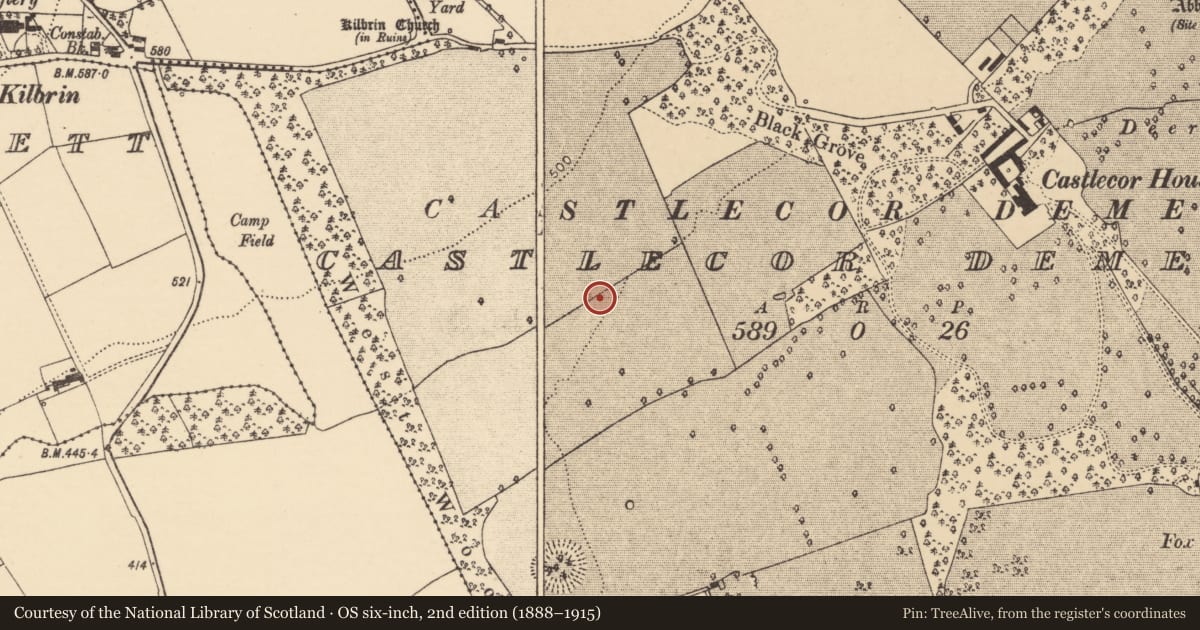 Ordnance Survey six-inch map, 2nd edition (1888–1915) covering the location of Fulacht fia, Castlecor Demesne, County Cork, with a pin at the register's coordinates
