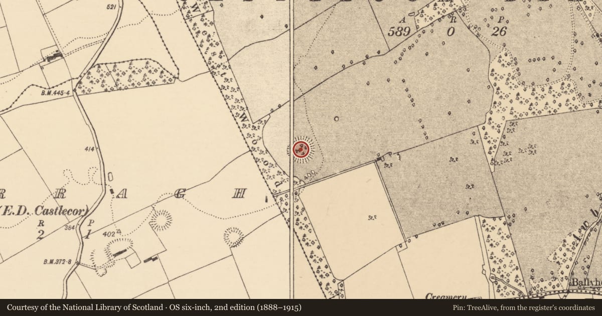 Ordnance Survey six-inch map, 2nd edition (1888–1915) covering the location of Ringfort - rath, Castlecor Demesne, County Cork, with a pin at the register's coordinates