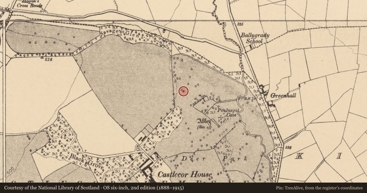 Ordnance Survey six-inch map, 2nd edition (1888–1915) covering the location of Ritual site - holy well, Castlecor Demesne, County Cork, with a pin at the register's coordinates