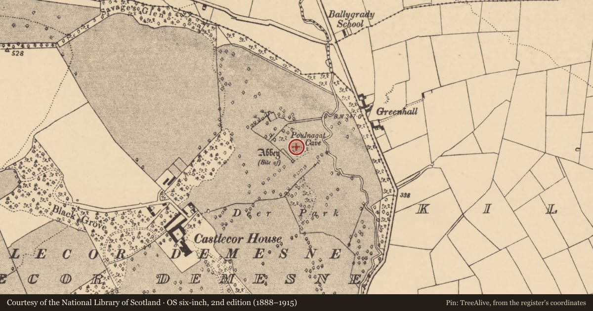 Ordnance Survey six-inch map, 2nd edition (1888–1915) covering the location of Religious house - unclassified, Castlecor Demesne, County Cork, with a pin at the register's coordinates