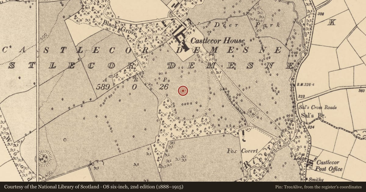 Ordnance Survey six-inch map, 2nd edition (1888–1915) covering the location of Earthwork, Castlecor Demesne, County Cork, with a pin at the register's coordinates