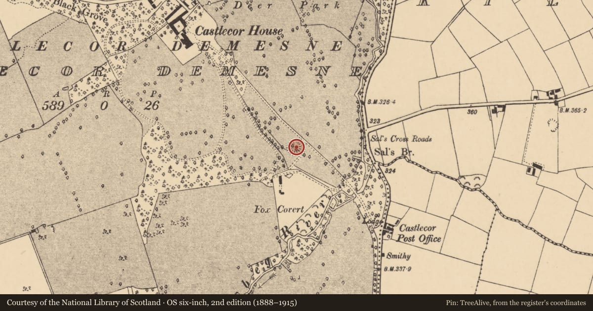 Ordnance Survey six-inch map, 2nd edition (1888–1915) covering the location of Ringfort - rath, Castlecor Demesne, County Cork, with a pin at the register's coordinates