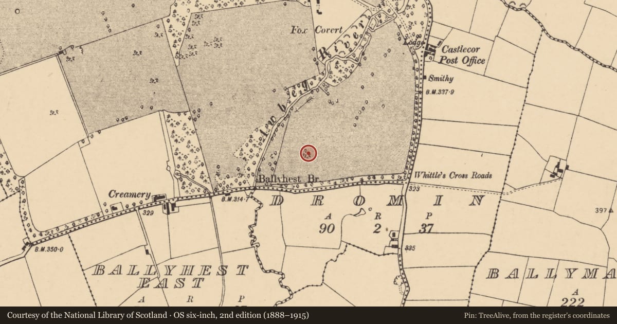 Ordnance Survey six-inch map, 2nd edition (1888–1915) covering the location of Barrow - ring-barrow, Castlecor Demesne, County Cork, with a pin at the register's coordinates