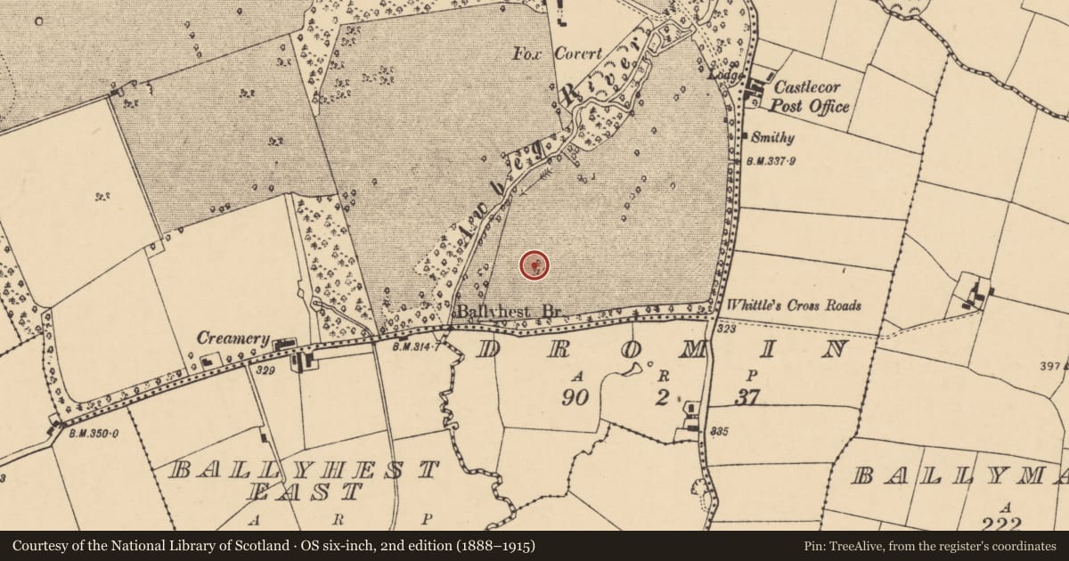 Ordnance Survey six-inch map, 2nd edition (1888–1915) covering the location of Standing stone, Castlecor Demesne, County Cork, with a pin at the register's coordinates