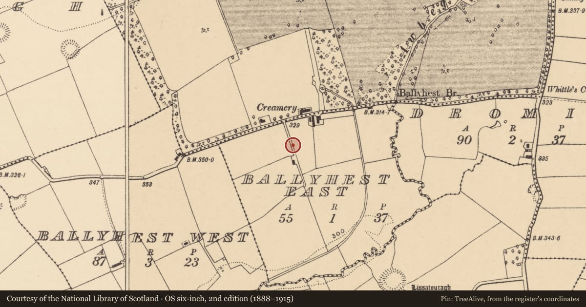 Ordnance Survey six-inch map, 2nd edition (1888–1915) covering the location of Burial ground, Ballyhest East, County Cork, with a pin at the register's coordinates