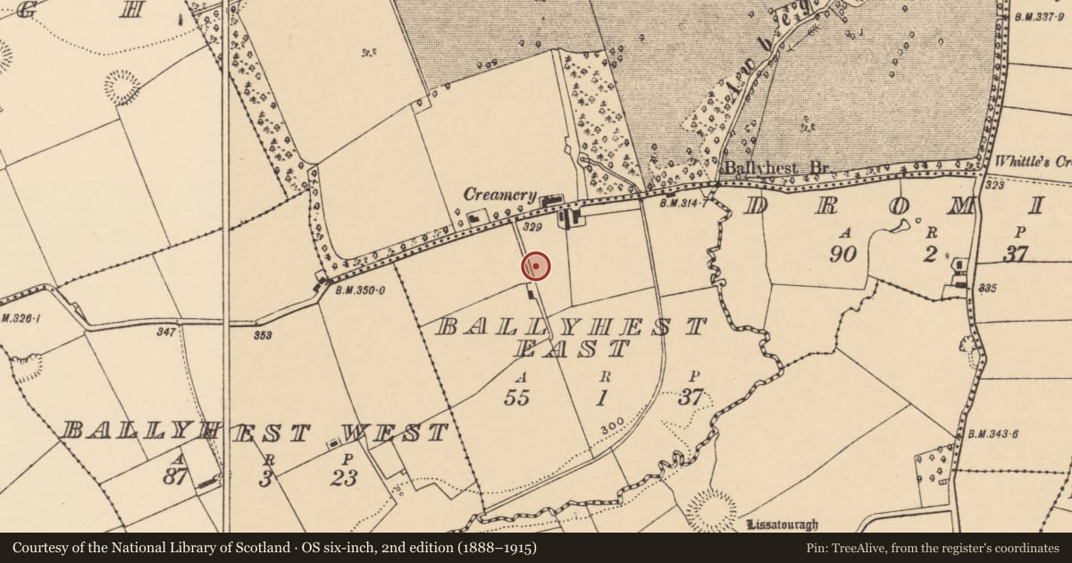 Ordnance Survey six-inch map, 2nd edition (1888–1915) covering the location of Ecclesiastical enclosure, Ballyhest East, County Cork, with a pin at the register's coordinates