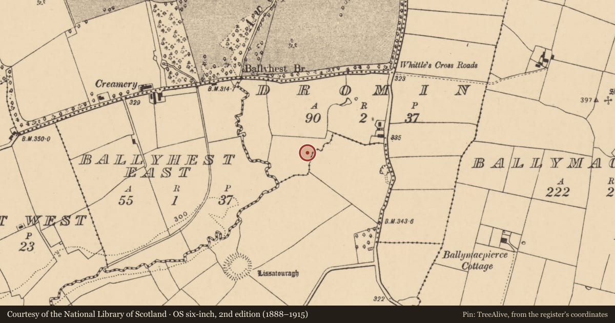 Ordnance Survey six-inch map, 2nd edition (1888–1915) covering the location of Fulacht fia, Dromin, County Cork, with a pin at the register's coordinates