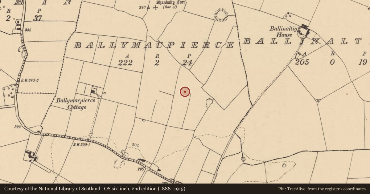 Ordnance Survey six-inch map, 2nd edition (1888–1915) covering the location of Ringfort - rath, Ballymacpierce, County Cork, with a pin at the register's coordinates
