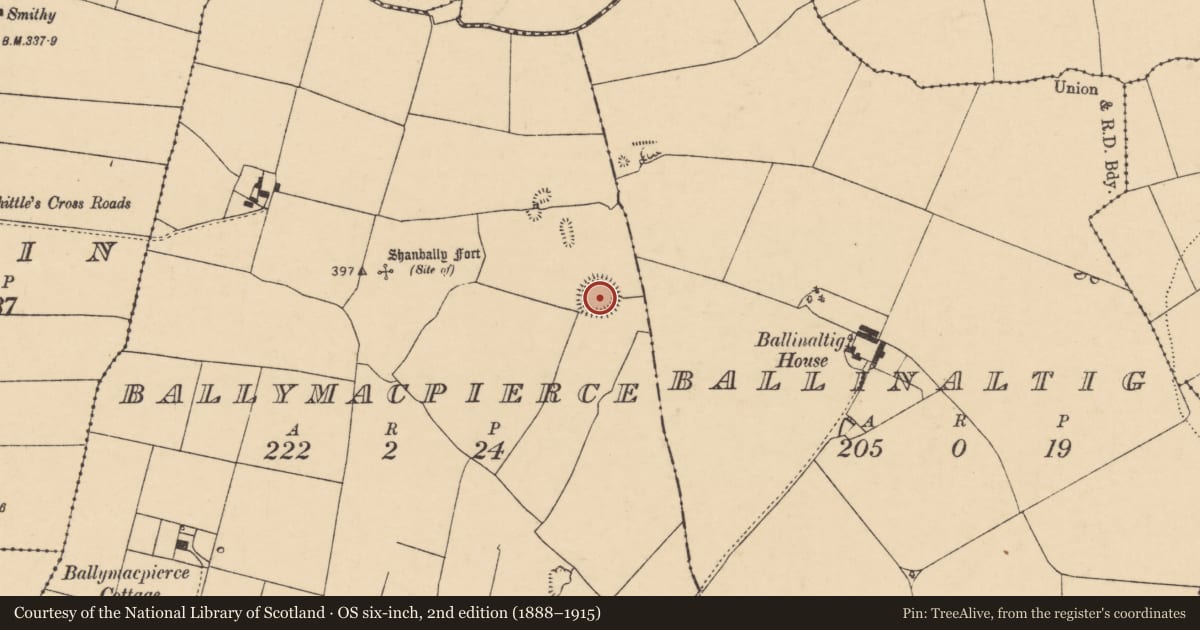 Ordnance Survey six-inch map, 2nd edition (1888–1915) covering the location of Ringfort - rath, Ballymacpierce, County Cork, with a pin at the register's coordinates