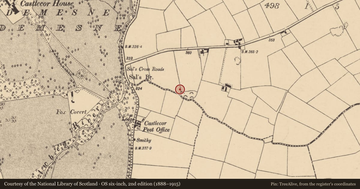 Ordnance Survey six-inch map, 2nd edition (1888–1915) covering the location of Water mill - horizontal-wheeled, Kilbarry, County Cork, with a pin at the register's coordinates