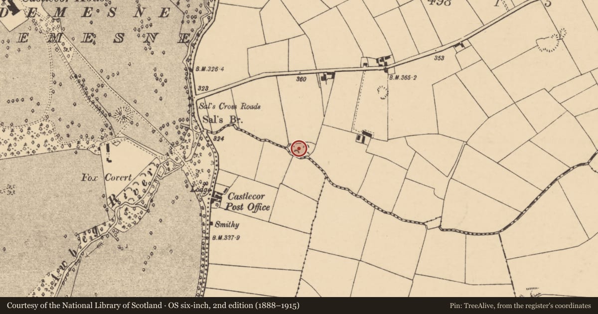 Ordnance Survey six-inch map, 2nd edition (1888–1915) covering the location of Church, Kilbarry, County Cork, with a pin at the register's coordinates