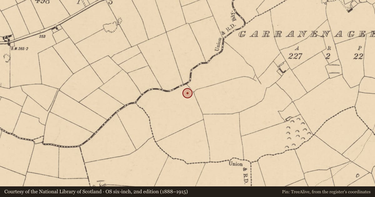 Ordnance Survey six-inch map, 2nd edition (1888–1915) covering the location of Ringfort - rath, Garranenageevoge, County Cork, with a pin at the register's coordinates