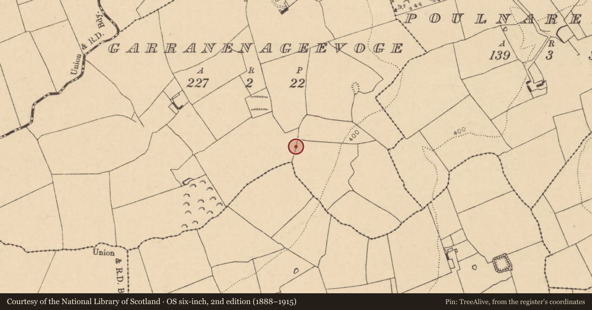 Ordnance Survey six-inch map, 2nd edition (1888–1915) covering the location of Fulacht fia, Garranenageevoge, County Cork, with a pin at the register's coordinates