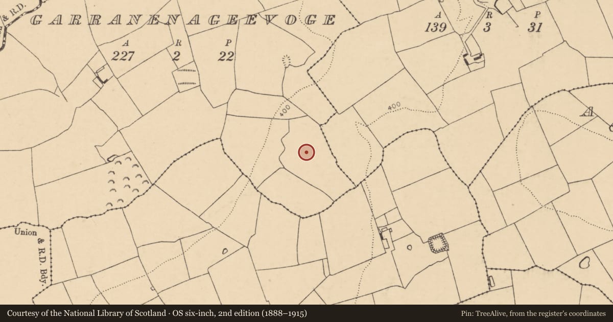 Ordnance Survey six-inch map, 2nd edition (1888–1915) covering the location of Enclosure, Garranenageevoge, County Cork, with a pin at the register's coordinates