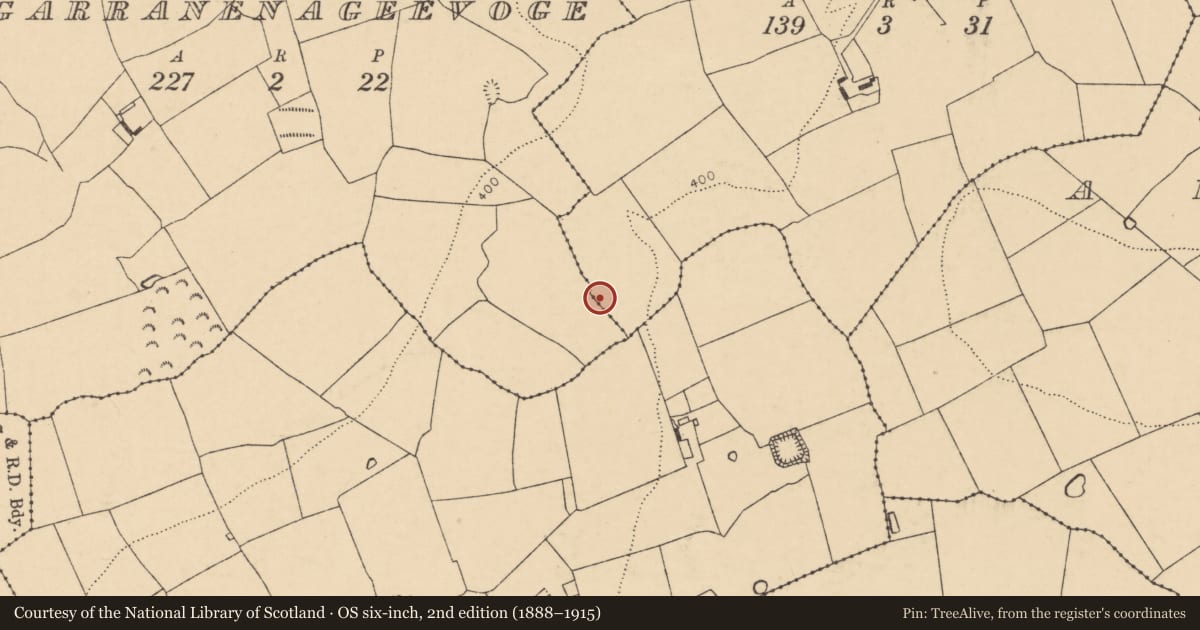 Ordnance Survey six-inch map, 2nd edition (1888–1915) covering the location of Enclosure, Garranenageevoge, Poulnareagha, County Cork, with a pin at the register's coordinates