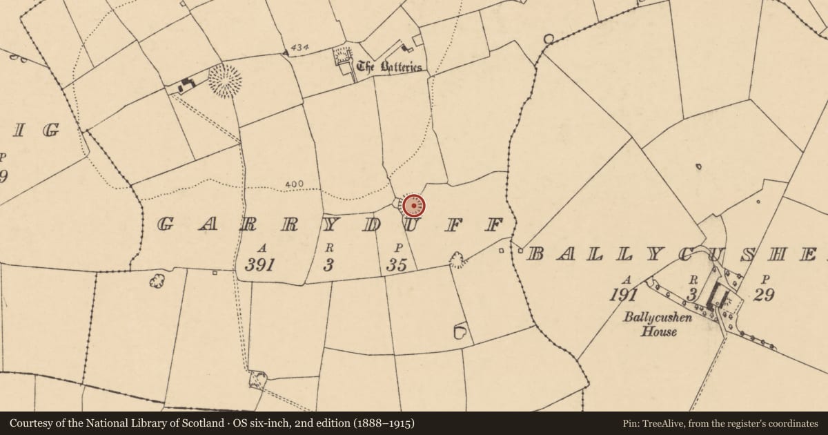 Ordnance Survey six-inch map, 2nd edition (1888–1915) covering the location of Ringfort - rath, Garryduff, County Cork, with a pin at the register's coordinates