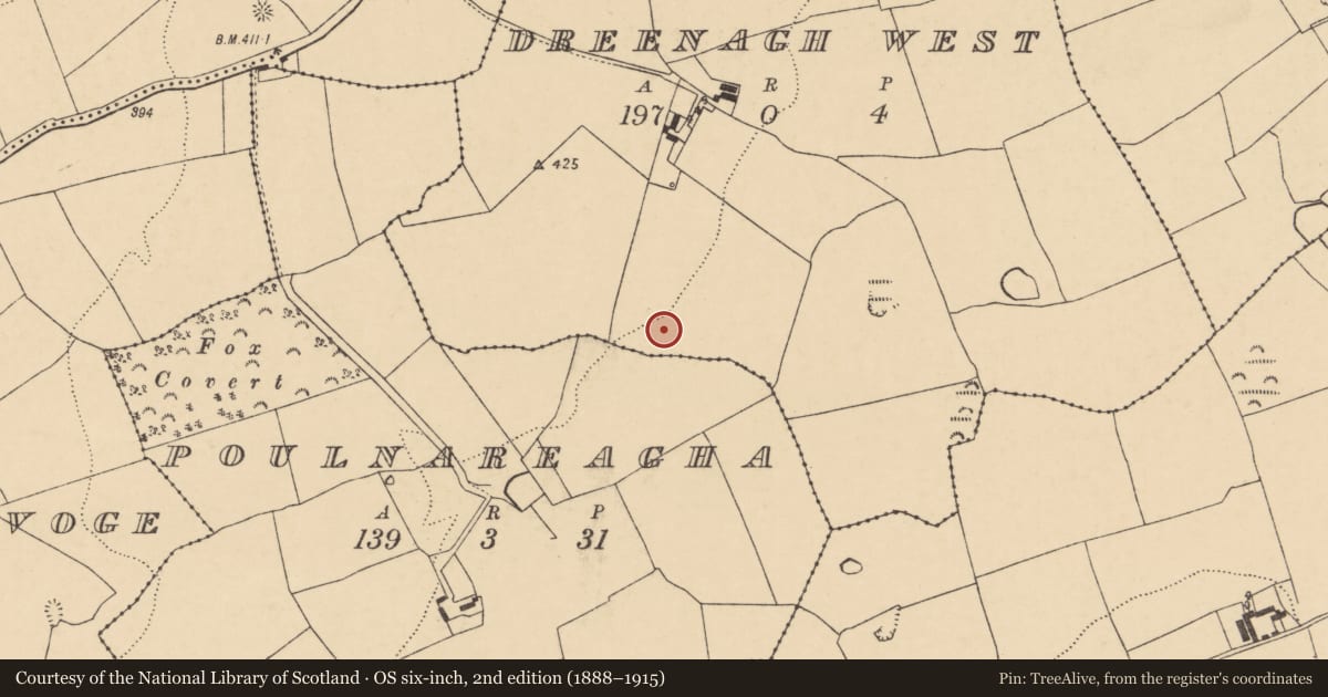Ordnance Survey six-inch map, 2nd edition (1888–1915) covering the location of Fulacht fia, Dreenagh West, County Cork, with a pin at the register's coordinates