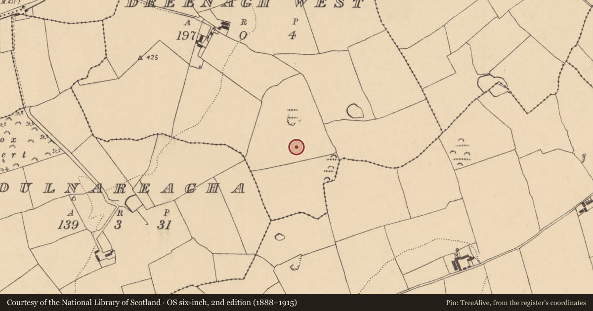 Ordnance Survey six-inch map, 2nd edition (1888–1915) covering the location of Souterrain, Dreenagh West, County Cork, with a pin at the register's coordinates