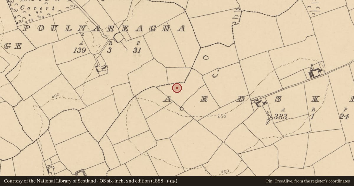 Ordnance Survey six-inch map, 2nd edition (1888–1915) covering the location of Ringfort - rath, Ardskeagh, County Cork, with a pin at the register's coordinates