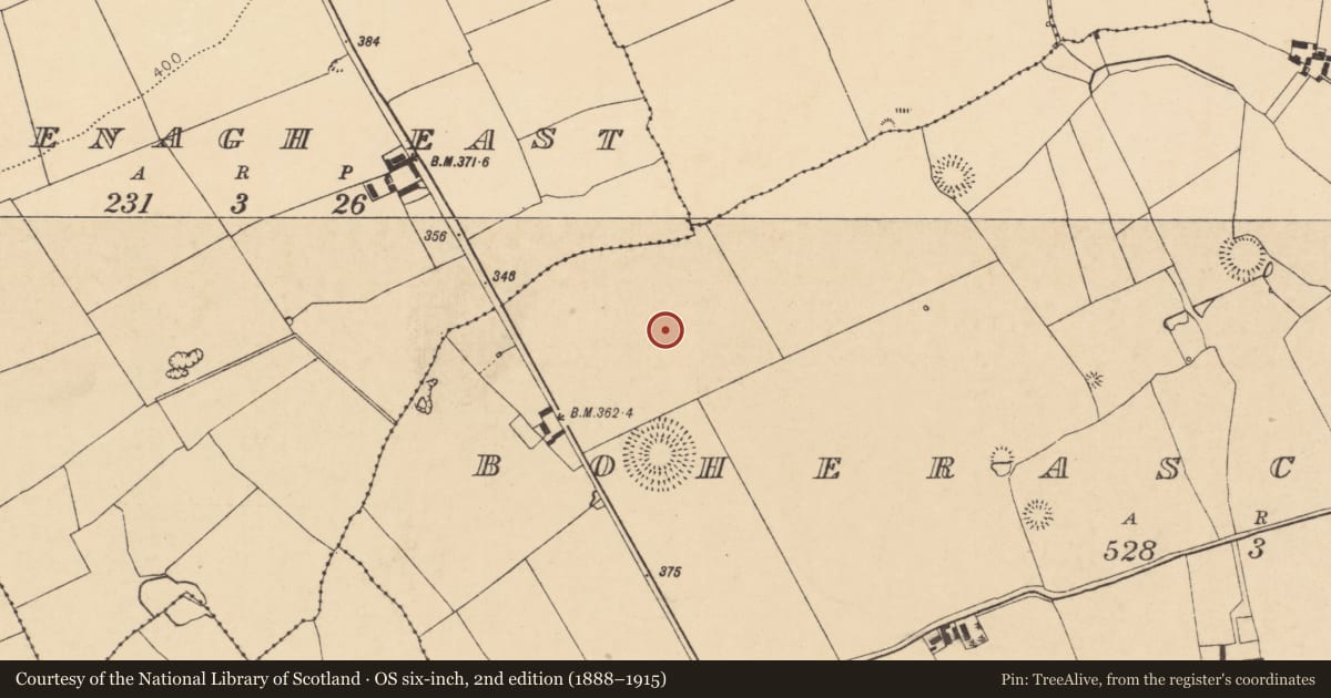 Ordnance Survey six-inch map, 2nd edition (1888–1915) covering the location of Burial ground, Boherascrub West, County Cork, with a pin at the register's coordinates
