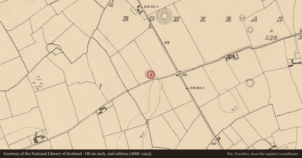 Ordnance Survey six-inch map, 2nd edition (1888–1915) covering the location of Ringfort - rath, Boherascrub West, County Cork, with a pin at the register's coordinates