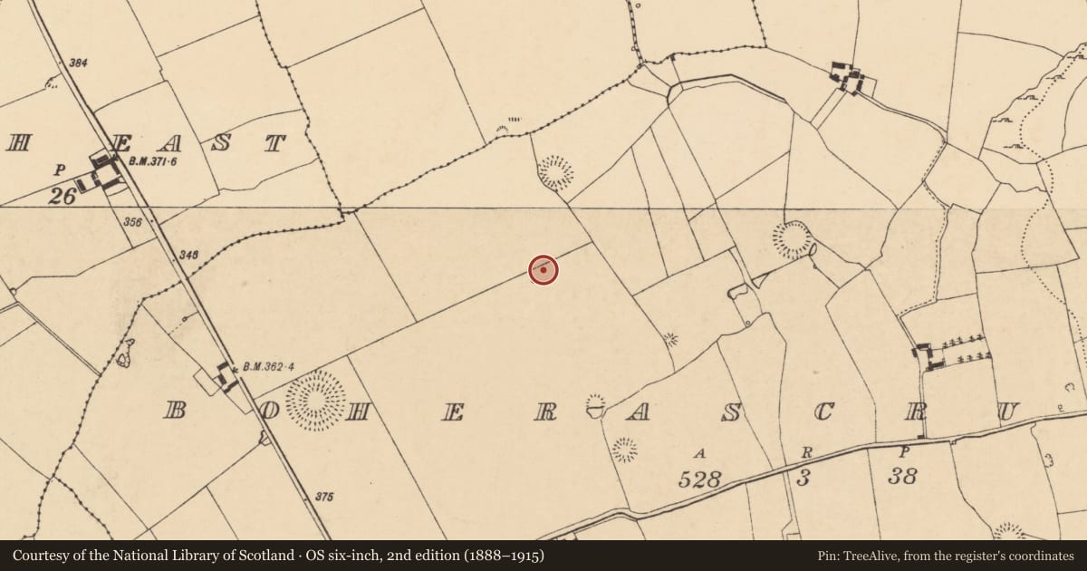 Ordnance Survey six-inch map, 2nd edition (1888–1915) covering the location of Fulacht fia, Boherascrub West, County Cork, with a pin at the register's coordinates