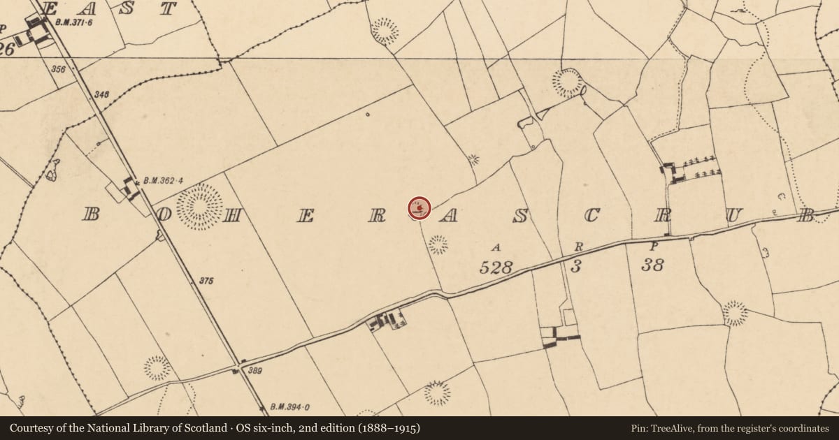 Ordnance Survey six-inch map, 2nd edition (1888–1915) covering the location of Enclosure, Boherascrub West, County Cork, with a pin at the register's coordinates