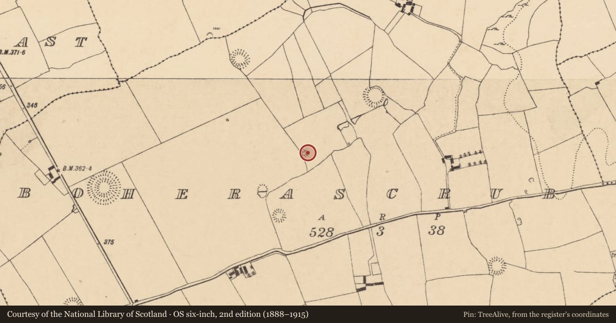 Ordnance Survey six-inch map, 2nd edition (1888–1915) covering the location of Enclosure, Boherascrub West, County Cork, with a pin at the register's coordinates