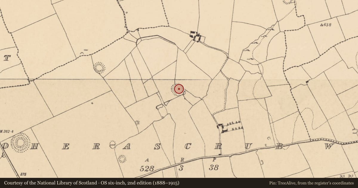 Ordnance Survey six-inch map, 2nd edition (1888–1915) covering the location of Ringfort - rath, Boherascrub West, County Cork, with a pin at the register's coordinates