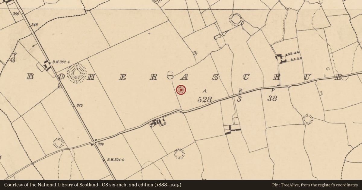 Ordnance Survey six-inch map, 2nd edition (1888–1915) covering the location of Ringfort - rath, Boherascrub West, County Cork, with a pin at the register's coordinates