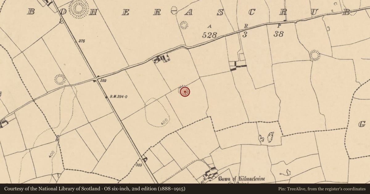 Ordnance Survey six-inch map, 2nd edition (1888–1915) covering the location of Ringfort - rath, Boherascrub West, County Cork, with a pin at the register's coordinates