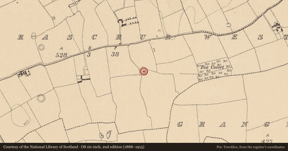 Ordnance Survey six-inch map, 2nd edition (1888–1915) covering the location of Ringfort - rath, Boherascrub West, County Cork, with a pin at the register's coordinates