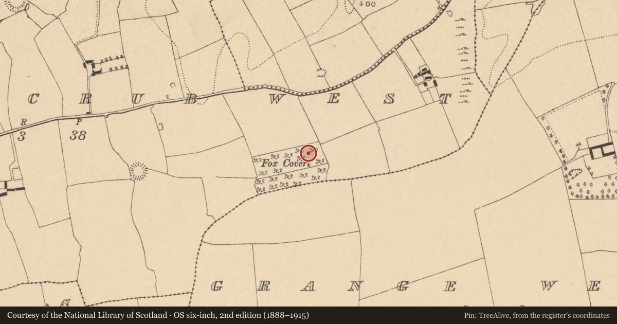 Ordnance Survey six-inch map, 2nd edition (1888–1915) covering the location of Ringfort - rath, Boherascrub West, County Cork, with a pin at the register's coordinates