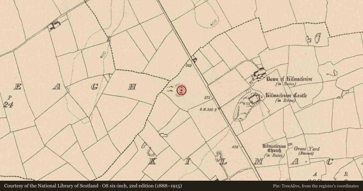 Ordnance Survey six-inch map, 2nd edition (1888–1915) covering the location of Enclosure, Kilmaclenine, County Cork, with a pin at the register's coordinates