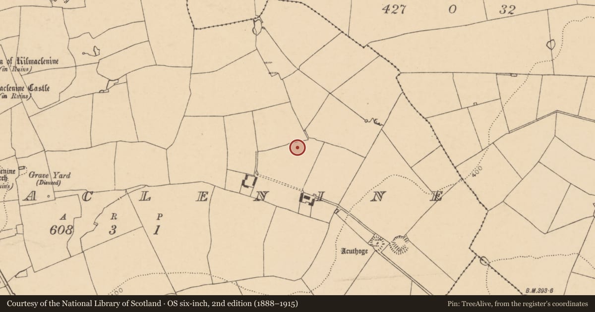 Ordnance Survey six-inch map, 2nd edition (1888–1915) covering the location of Enclosure, Kilmaclenine, County Cork, with a pin at the register's coordinates