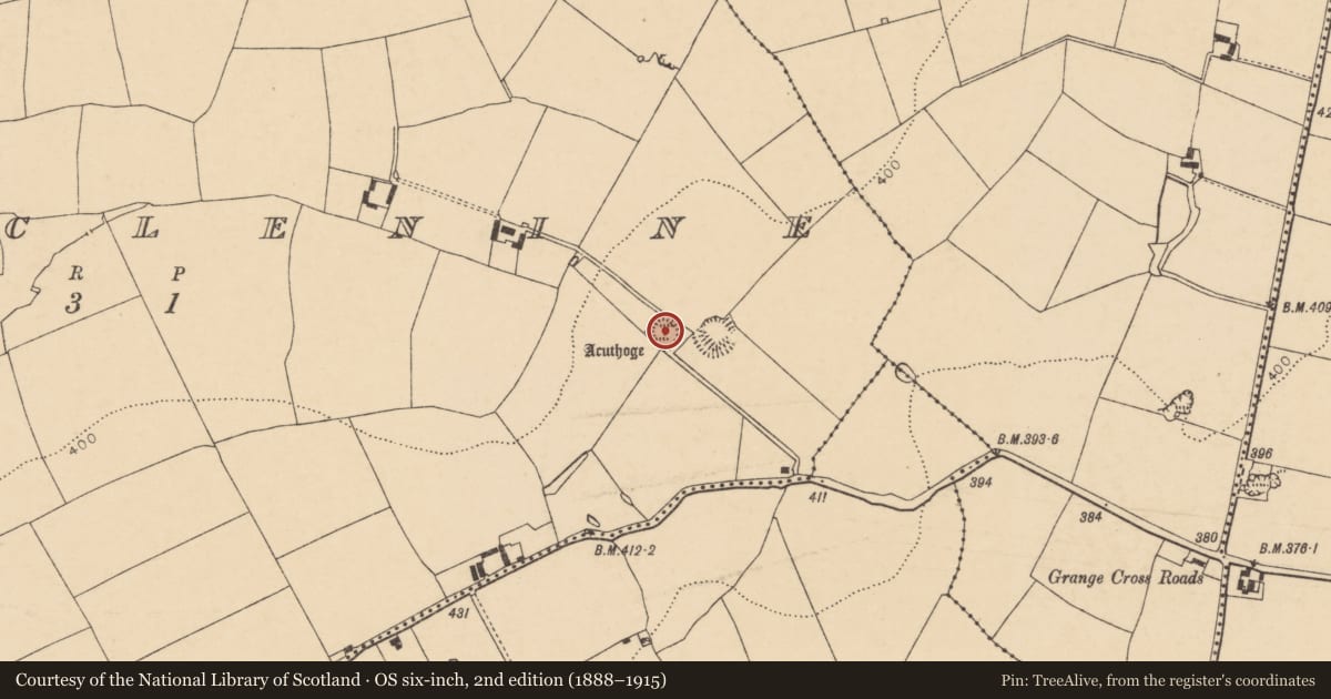 Ordnance Survey six-inch map, 2nd edition (1888–1915) covering the location of Cairn - unclassified, Kilmaclenine, County Cork, with a pin at the register's coordinates