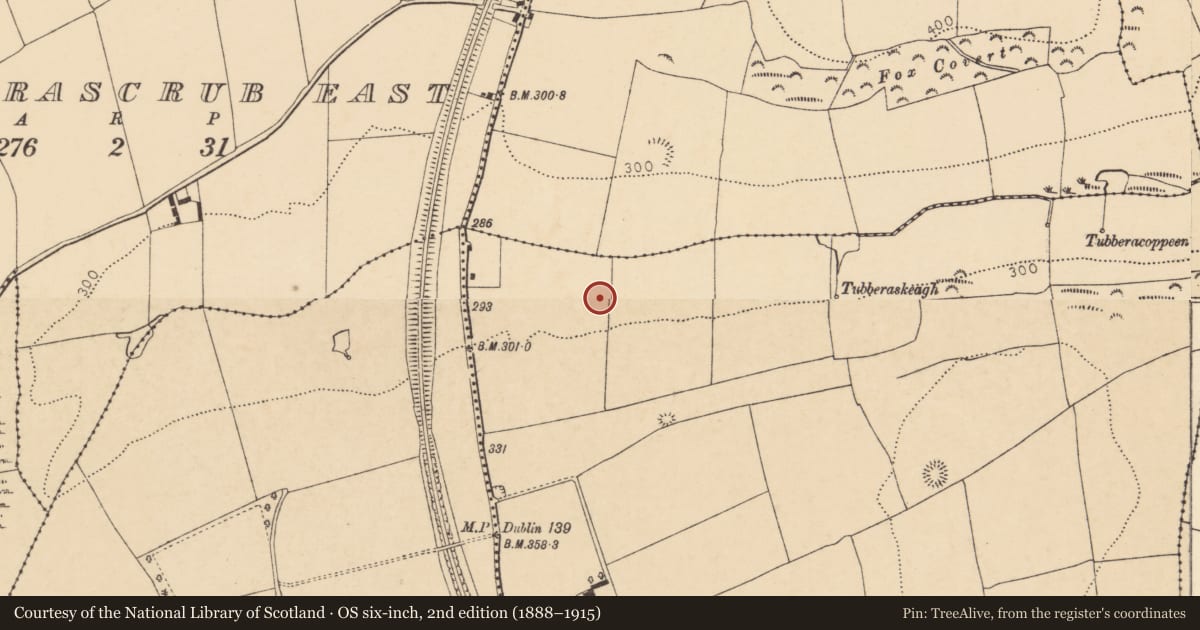 Ordnance Survey six-inch map, 2nd edition (1888–1915) covering the location of Enclosure, Grange East, County Cork, with a pin at the register's coordinates
