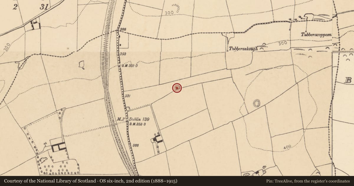 Ordnance Survey six-inch map, 2nd edition (1888–1915) covering the location of Enclosure, Grange East, County Cork, with a pin at the register's coordinates