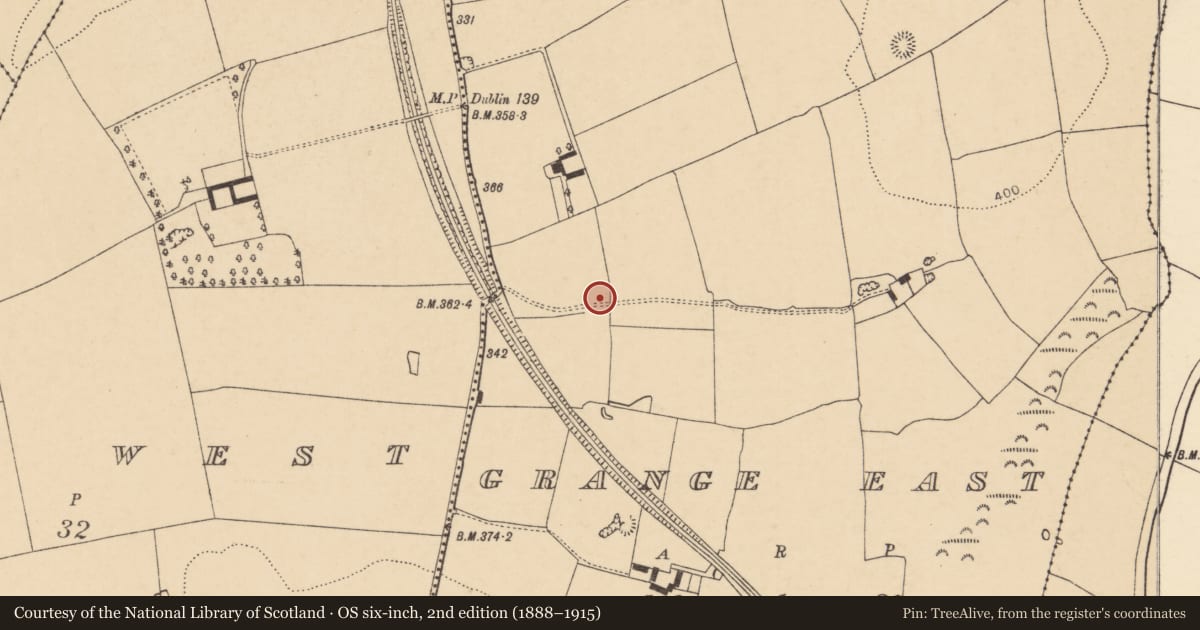 Ordnance Survey six-inch map, 2nd edition (1888–1915) covering the location of Standing stone, Grange East, County Cork, with a pin at the register's coordinates