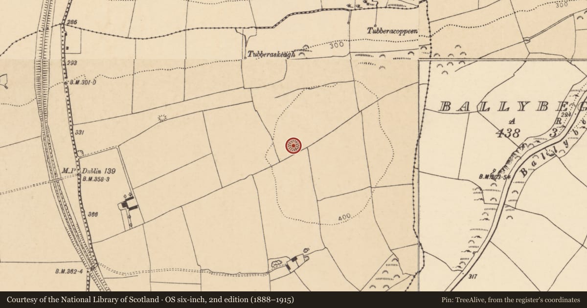Ordnance Survey six-inch map, 2nd edition (1888–1915) covering the location of Ringfort - rath, Grange East, County Cork, with a pin at the register's coordinates