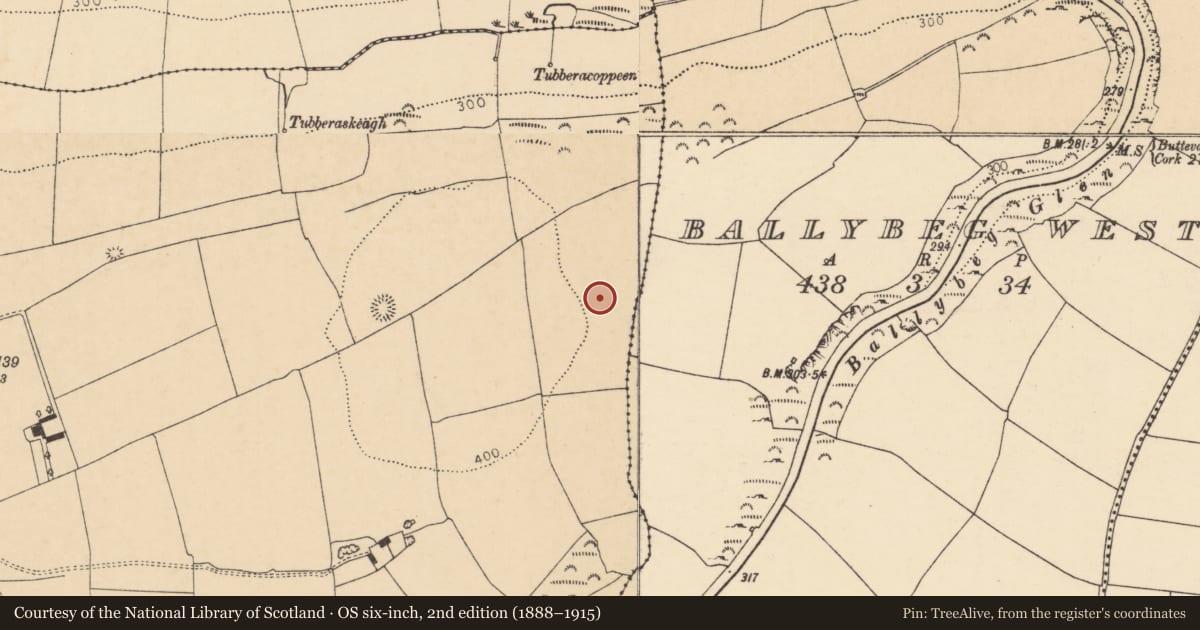 Ordnance Survey six-inch map, 2nd edition (1888–1915) covering the location of Enclosure, Grange East, County Cork, with a pin at the register's coordinates