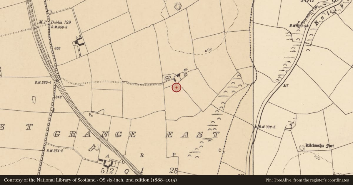 Ordnance Survey six-inch map, 2nd edition (1888–1915) covering the location of Souterrain, Grange East, County Cork, with a pin at the register's coordinates