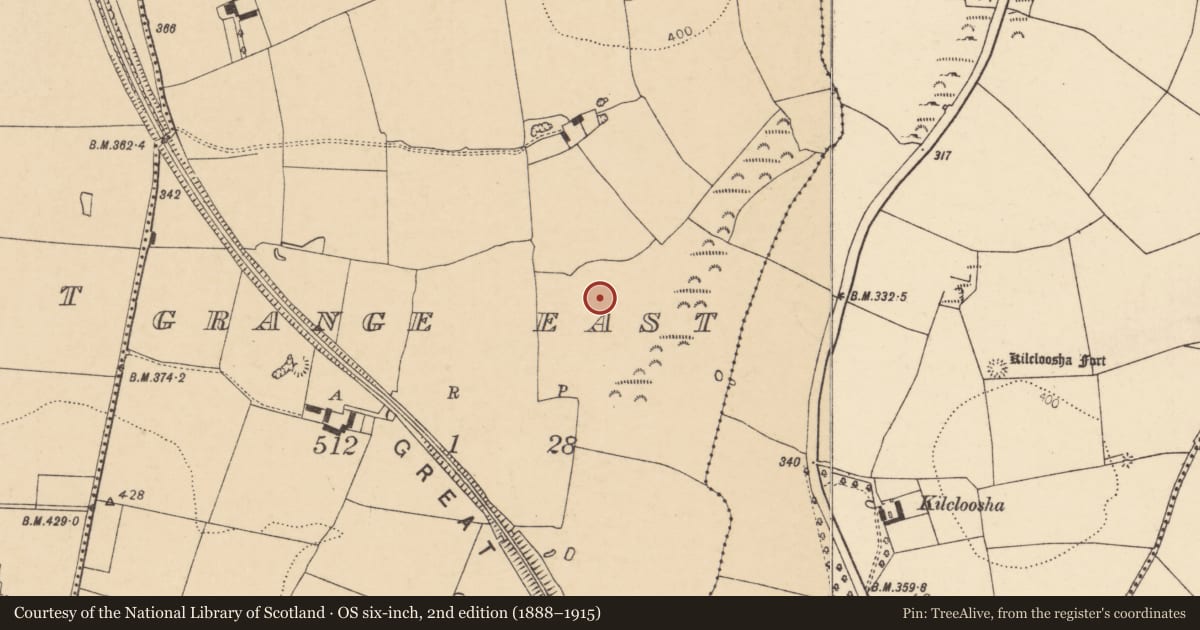 Ordnance Survey six-inch map, 2nd edition (1888–1915) covering the location of Ringfort - rath, Grange East, County Cork, with a pin at the register's coordinates