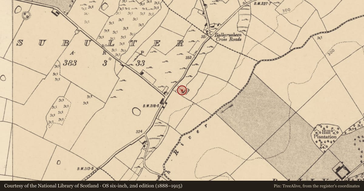 Ordnance Survey six-inch map, 2nd edition (1888–1915) covering the location of Kiln - lime, Subulter, County Cork, with a pin at the register's coordinates